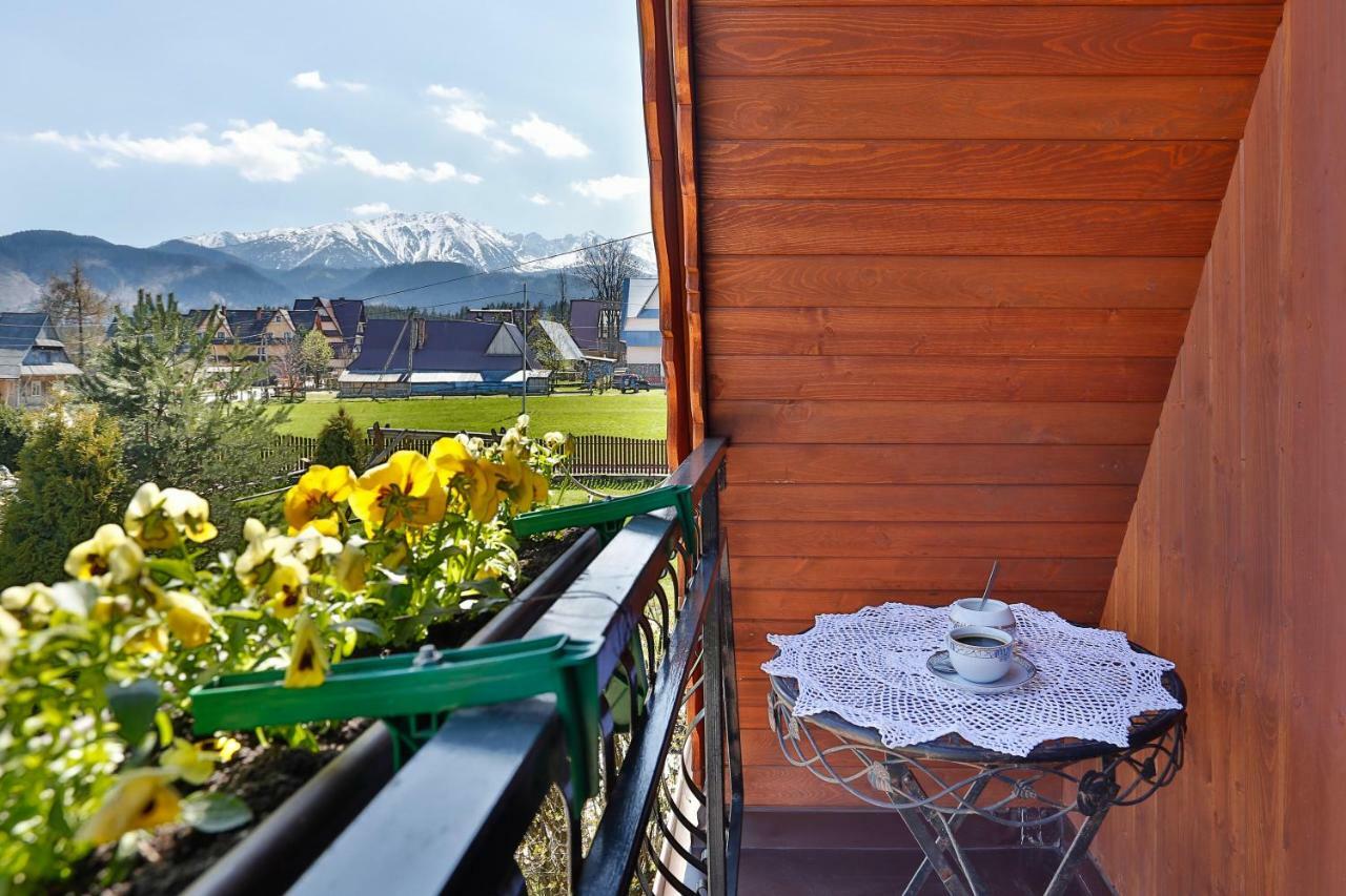 Eco Willa Karpatia Ski&Wellness Murzasichle Exterior photo